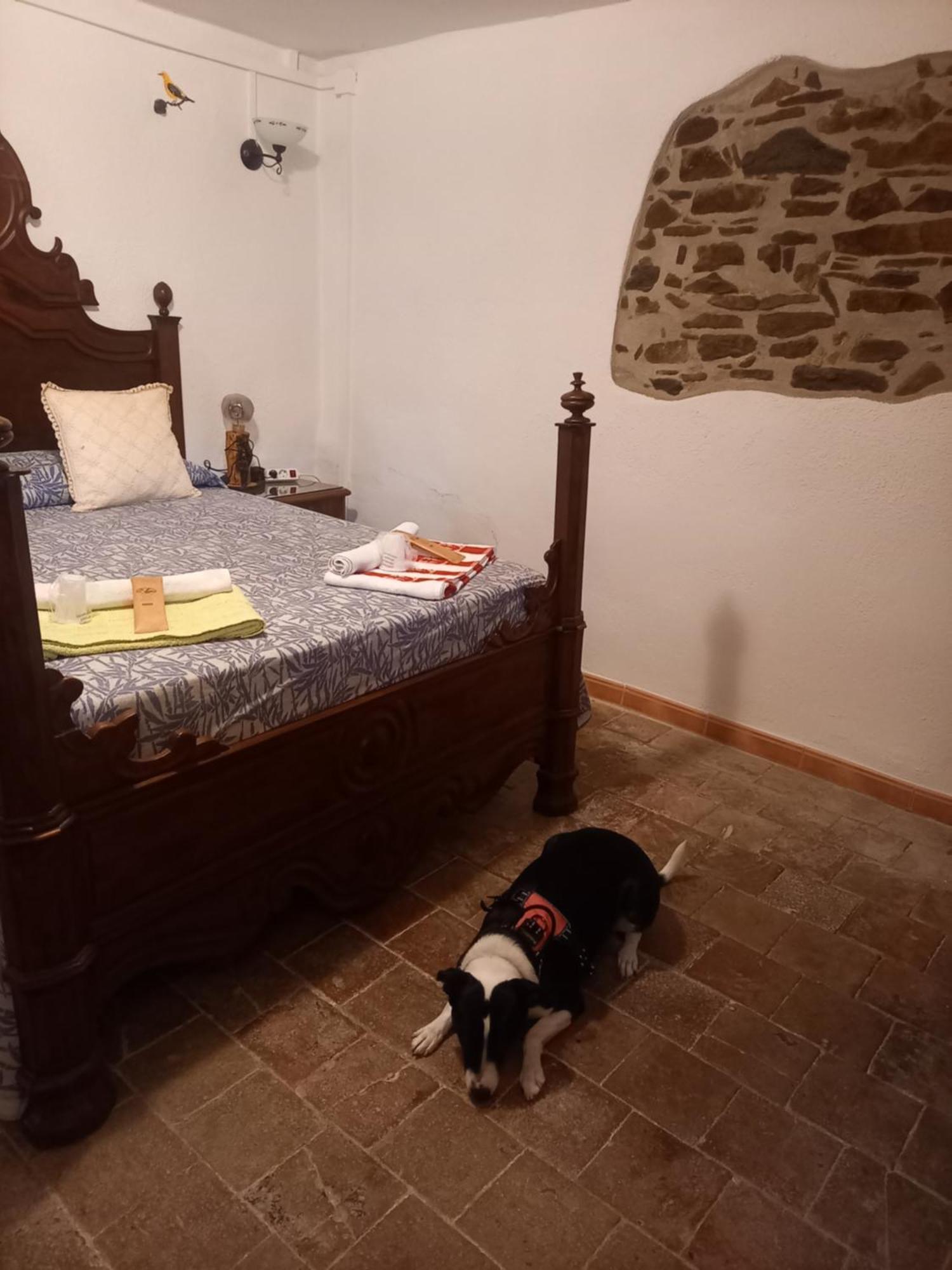 San Martín de Centellas Hostal Rural Mas Blanc מראה חיצוני תמונה