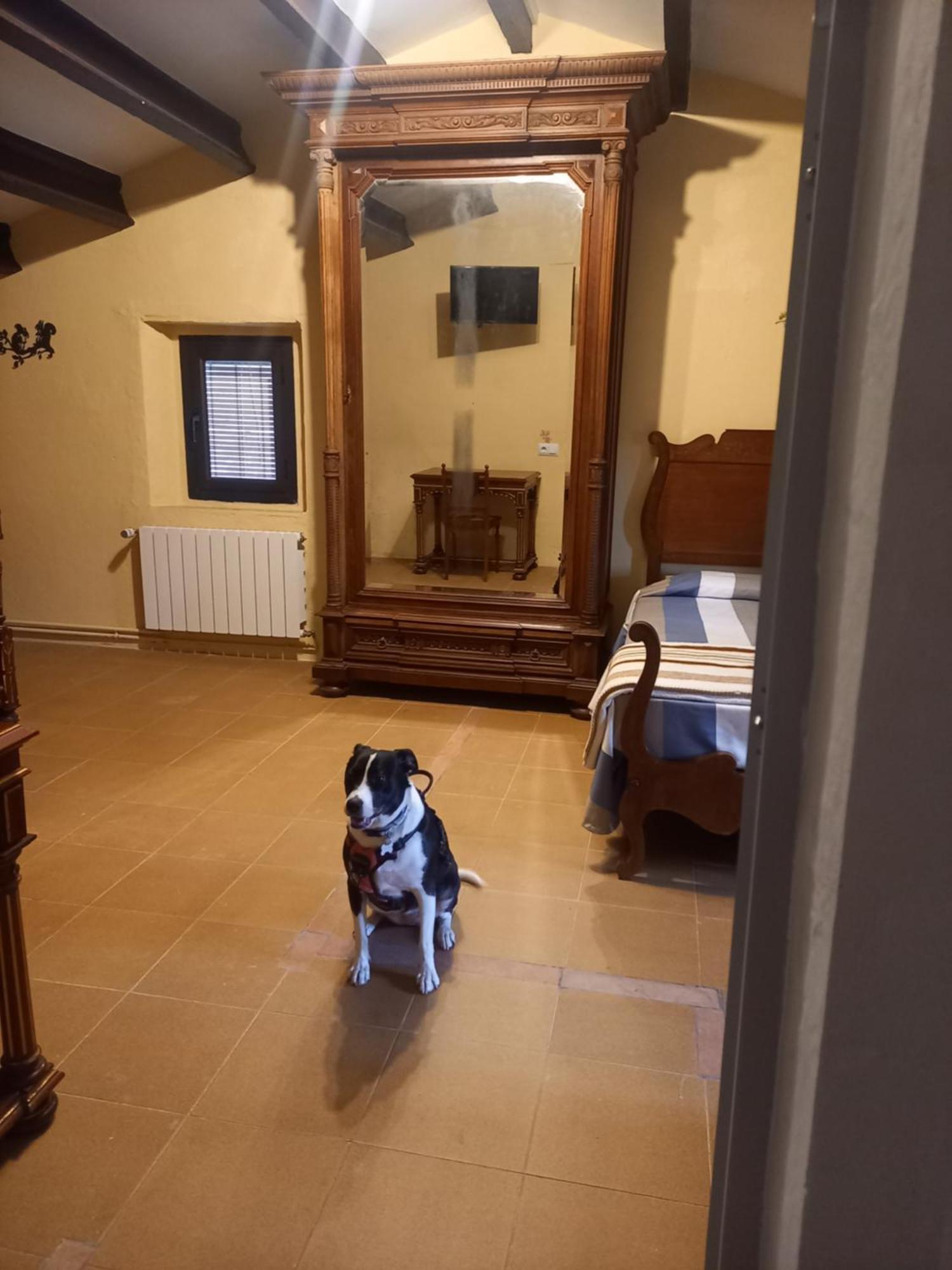 San Martín de Centellas Hostal Rural Mas Blanc מראה חיצוני תמונה