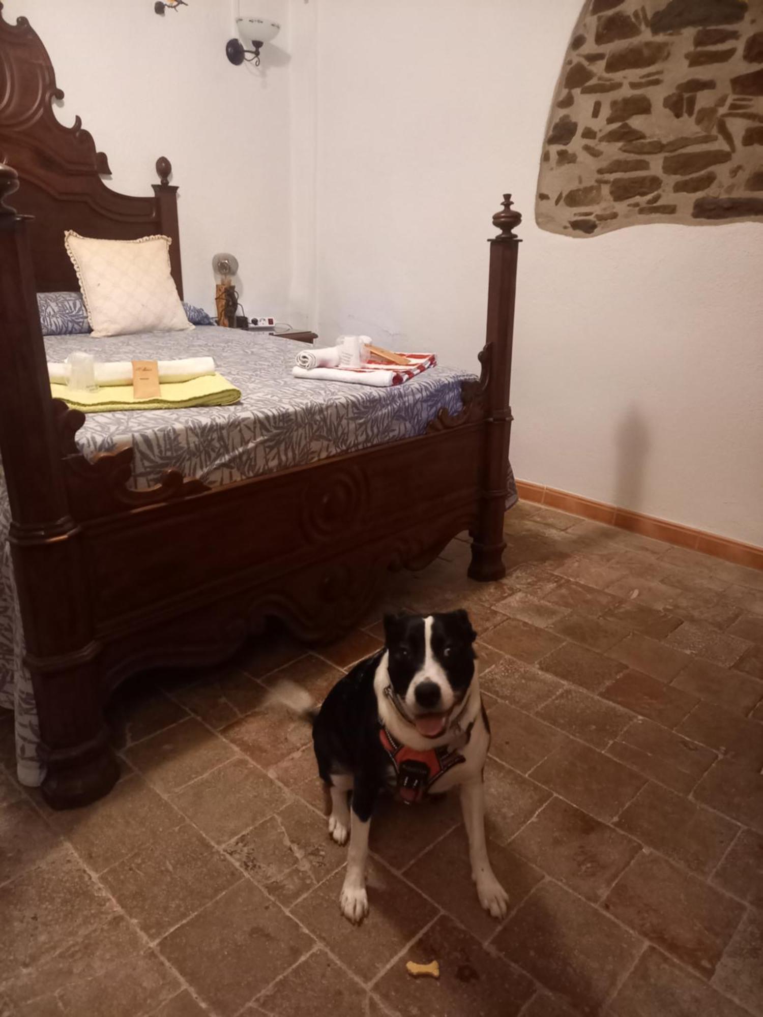 San Martín de Centellas Hostal Rural Mas Blanc מראה חיצוני תמונה