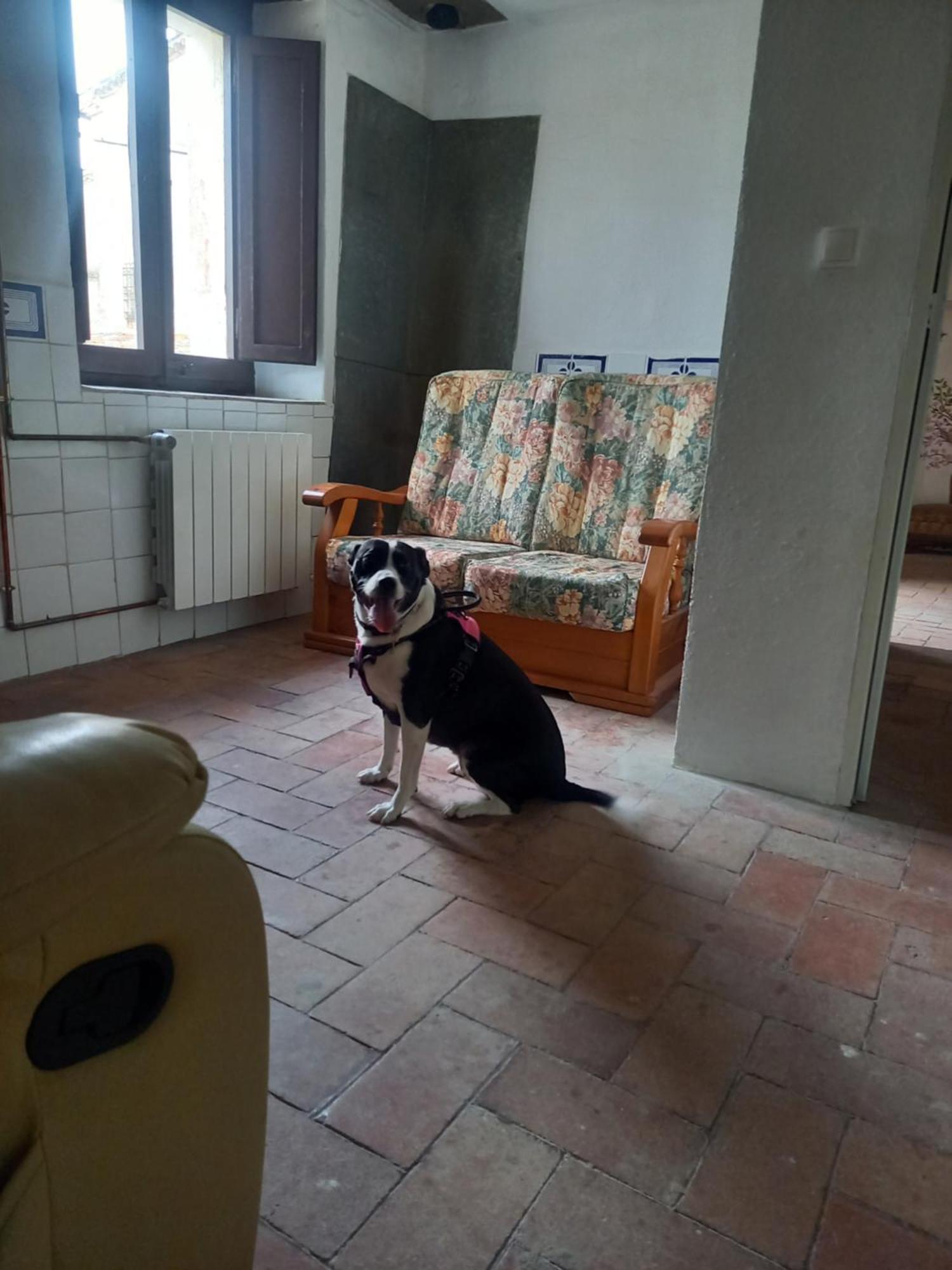 San Martín de Centellas Hostal Rural Mas Blanc מראה חיצוני תמונה